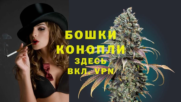 прущий лед Заводоуковск
